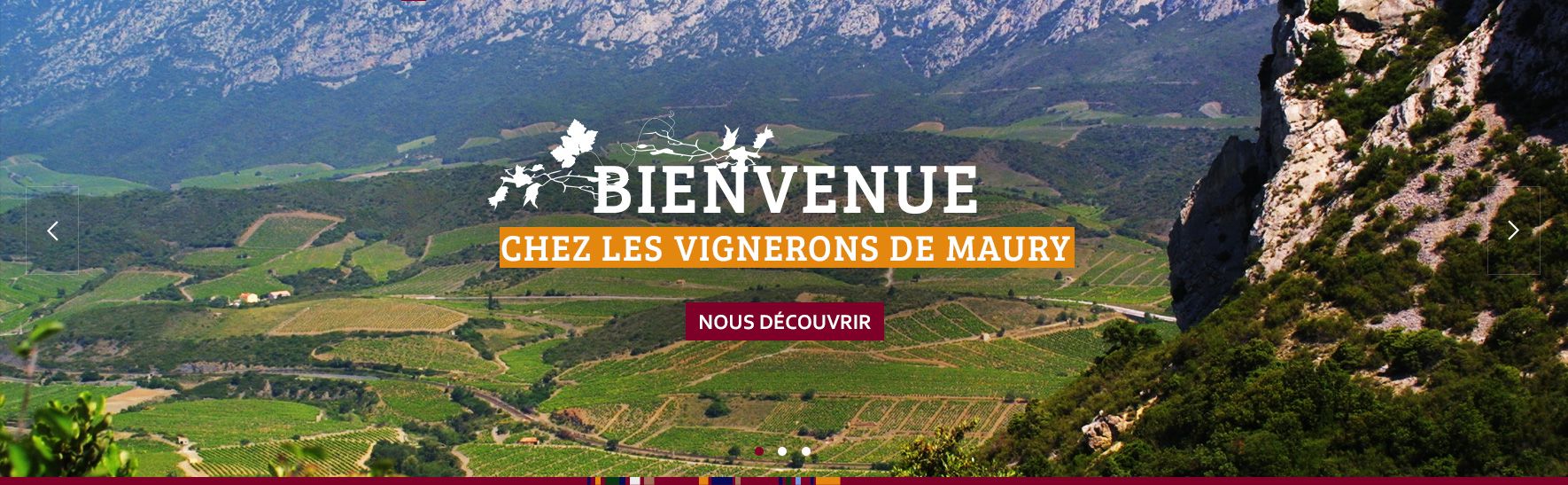 LES VIGNERONS DE MAURY